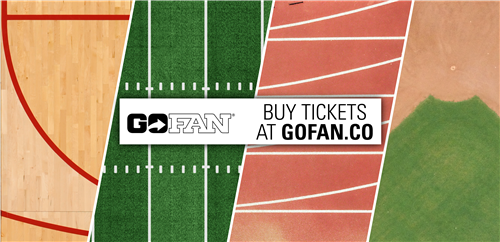 Go Fan